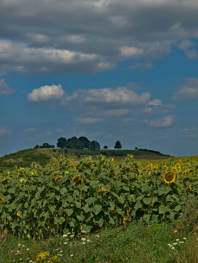 Panorama depuis la Plaine, côte 303, au nord de Chanville