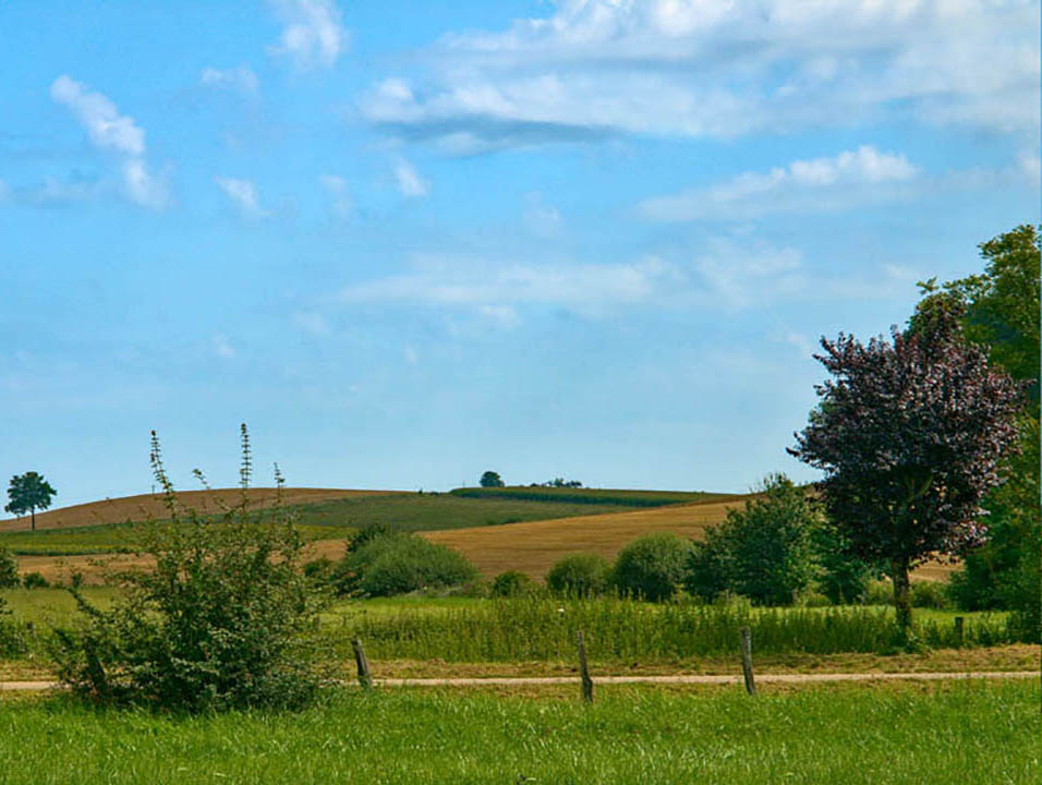 Paysages entre le Grand Étang de Luppy et Luppy