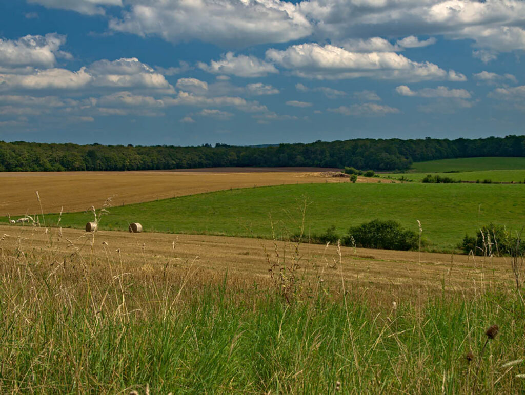Panorama depuis la Plaine, côte 303, au nord de Chanville