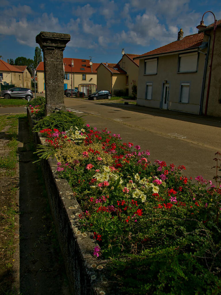 Fontaine, Luppy