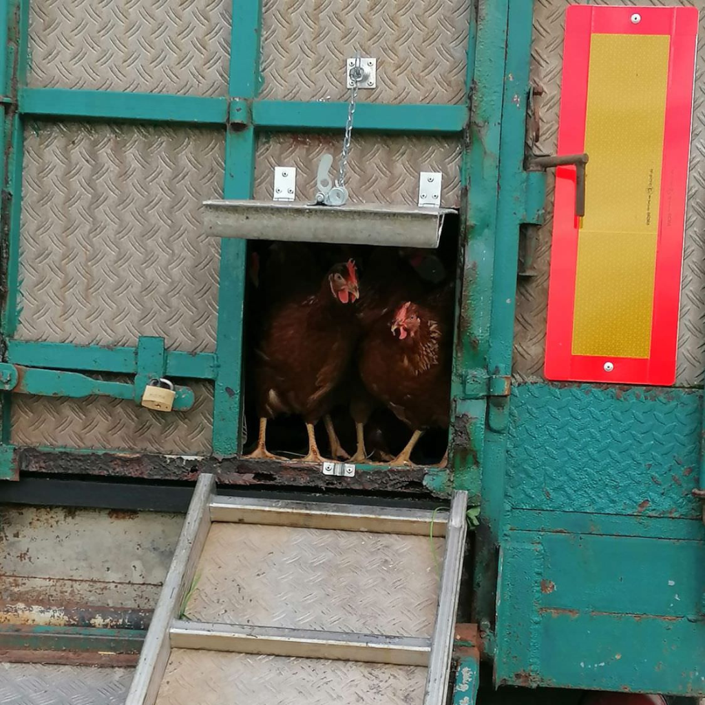 ferme-juncker