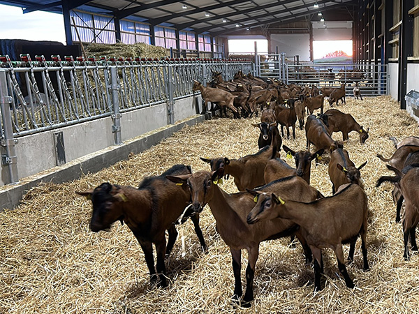 Ferme des Ensanges (7)