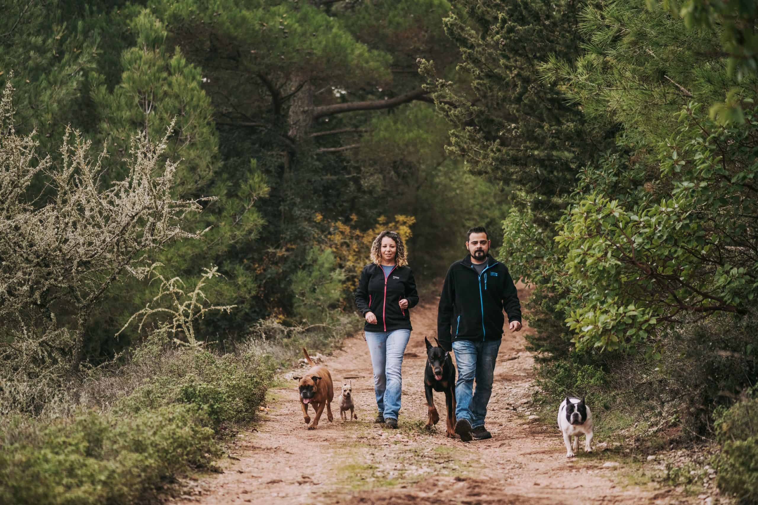 Chiens qui se promènent