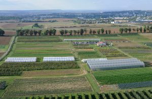 Credit - Cueillette de Peltre